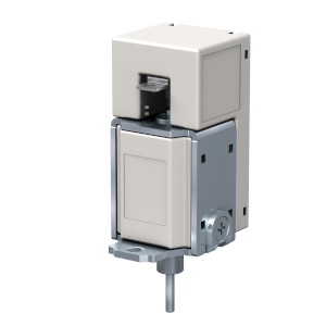 Ooops... ERROR 404 (IMG not found)